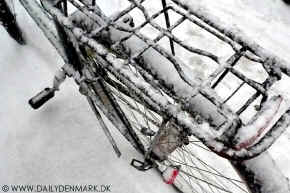 snow on a bike1.jpg (214194 byte)